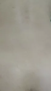 江海互动论坛